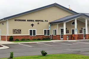 Riverbank Animal Hospital