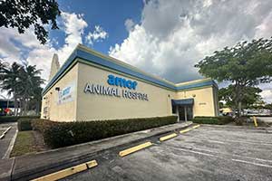 Amor Animal Hospital