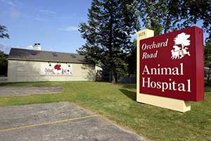 Orchard Road Animal Hospital